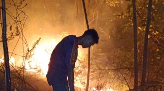 2 Hektare Hutan di Sibolga Sumut Terbakar