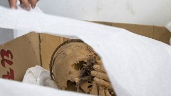 Arkeolog menunjukan mumi berusia antara 800 hingga 1.200 tahun, Peru, Selasa (30/11). [AFP Photo]