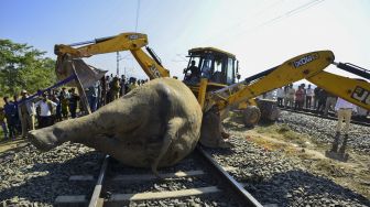 Petugas menggunakan alat berat memindahkan salah satu dari dua gajah yang mati setelah bertabrakan dengan kereta api dari jalur di Morigaon, Assam, India, pada (1/12/2021). [BIJU BORO / AFP]
