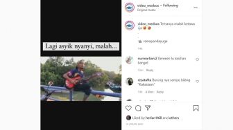 Ngenes! Asik Bermain Gitar Sambil Nyanyi, Ending Pria Ini Malah Tercebur ke Sungai