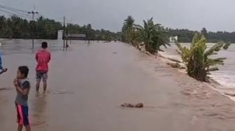 Sulawesi Selatan Dikepung Banjir: Sawah Seperti Lautan, Trans Sulawesi Putus