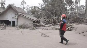 Update Korban Letusan Gunung Semeru, Korban Meninggal 22 Orang, Korban Hilang Banyak