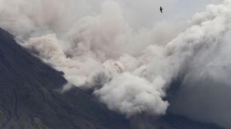 Info Terkini, Jumlah Penduduk Terdampak Erupsi Gunung Semeru