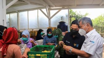 Untuk Tingkatkan Hasil Panen Jeruk, BRI Bantu Petani Modernisasi Mesin