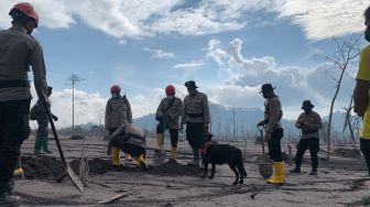 Update Bencana Gunung Semeru, Pencarian Terkendala Mendung, 12 Orang Masih Hilang