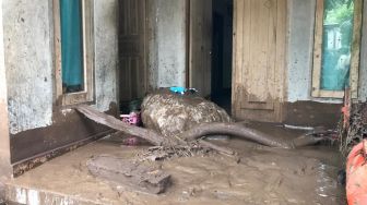 Korban Banjir Lombok Keluhkan Gatal dan Alergi, Anak-anak Demam di Tenda Pengungsian