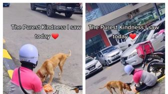 Anjing Jalanan Terlihat Super Kurus, Kurir Makanan Rela Berbagi Ini Menyentuh Hati