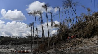 Tim SAR gabungan melakukan pencarian korban di area aliran awan panas guguran Gunung Semeru di Curah Koboan, Lumajang, Jawa Timur, Jumat (10/12/2021).  ANTARA FOTO/Zabur Karuru