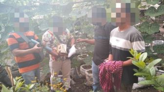 Tanam Ganja di Pot Bunga, Seorang Petani Diringkus Polisi