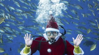 Seorang penyelam berpakaian Sinterklas berpose saat memberi makan ikan di akuarium Hakkeijima Sea Paradise, Yokohama, Jepang, pada (10/12/2021). [PHILIP FONG / AFP]