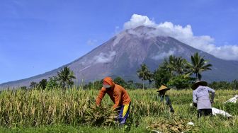 Alert! Gunung Semeru Naik Status Menjadi Siaga Level 3