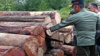 Tim PPLHK Temukan Ratusan Kayu Illegal Logging di Hutan Lindung Bukit Betabuh