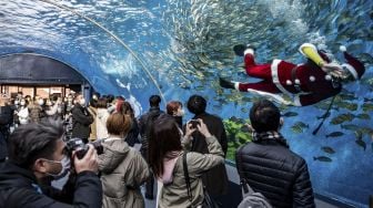 Seorang penyelam berpakaian Sinterklas memberi makan ikan disaksikan oleh pengujung di akuarium Hakkeijima Sea Paradise, Yokohama, Jepang, pada (10/12/2021). [PHILIP FONG / AFP]