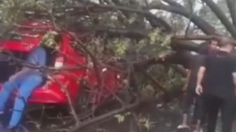 Banyak Pohon Tumbang Diterpa Angin Kencang, BPBD Bekasi Rekomendasikan Hal Ini