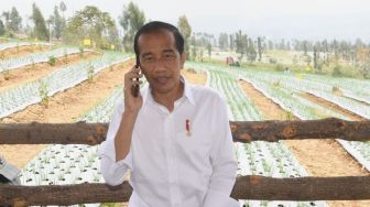 Negara Impor Bawang Putih Saat Petani Panen, Presiden Jokowi Langsung Hubungi Mendag