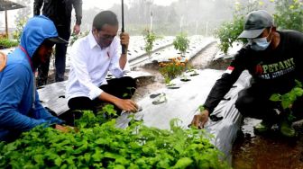 Berdialog dengan Presiden Jokowi, Ini Deretan Keluh Kesah Petani di Temanggung