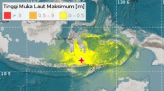 BMKG Deteksi Tsunami Usai Gempa 7,4 Mengguncang Flores