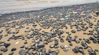 Kondisi pantai yang tercemar batu bara di sekitar pantai Sekembu, Mulyoharjo, Jepara, Jawa Tengah, Selasa (14/12/2021). ANTARA FOTO/Yusuf Nugroho