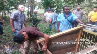 BBKSDA Pasang Jebakan Harimau di Palas Sumut