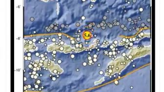 Tercatat Ada 267 Kali Gempa Susulan Akibat Gempa di Laut Flores