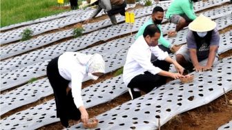 Ke Temanggung, Presiden Jokowi Berharap Produktivitas Bawang Merah Bisa Meningkat