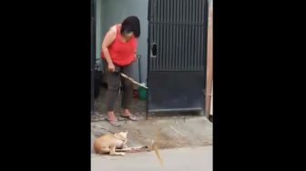 Viral Video Anjing Dipukuli Pemilik, Diduga Gegara Rusak Sapu Lidi