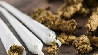 Waduh, Sebentar Lagi Malta Jadi Negara Pertama Uni Eropa Legalkan Ganja Loh