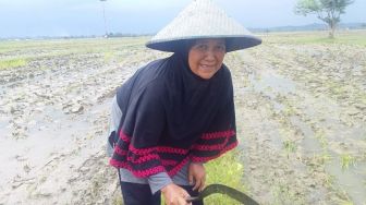 Perempuan Pelopor Pertanian Organik dari Banggai, Sulawesi Tengah