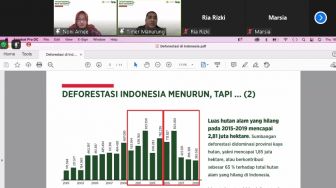 Auriga Nusantara: Deforestasi di 10 Provinsi Meningkat, Pelakunya Masih Sama