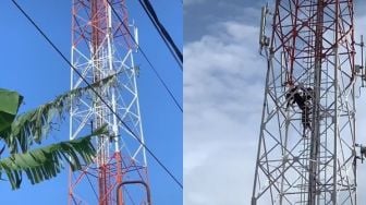 Viral Pria Nekat Naik Tower Gegara Putus Cinta, Aksinya Bikin Publik Tak Habis Pikir