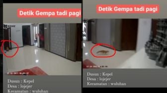 Viral Detik-detik Gempa di Jember Terekam CCTV, Warganet Salfok Kucing Oren