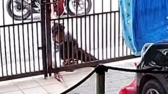 Viral Pria Tepergok Curi Paket di Depan Rumah Warga, Aksinya Meresahkan Kurir