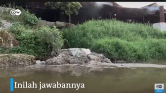 Pencemaran di Sungai Cisadane, Limbah Kimia Pabrik Jadi Biang Keladi