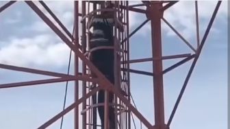 Putus Cinta, Pemuda Ini Nekat Tiduri Tower Setinggi 80 Meter, yang Terjadi Selanjutnya