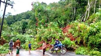 Tertimbun Longsor, Jalan Madina-Tapsel Putus Total