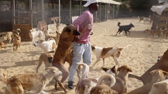 Saed al-Aer bermain dengan anjing-anjing di penampungan Sulala Society for Animal Care, Kota Gaza, Palestiina, pada (16/12/2021). [MOHAMMED ABED / AFP]