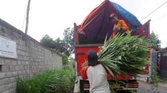 Komunitas Peternak Kambing di Kediri Kirim Bantuan Rumput untuk Korban Erupsi Semeru
