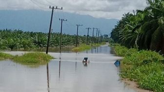 Jalan Masuk Tiku Lima Jorong Agam Banjir, Ribuan Warga Terisolir