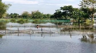 Banjir Lamongan Rugikan Petambak Mencapai Rp 19 Miliar