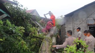 2 Rumah Warga Padang Diterjang Angin Puting Beliung, Belasan Pohon Tumbang