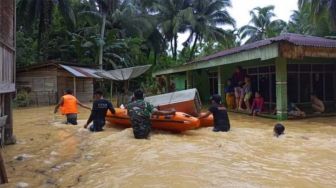 Tangis Petani Dharmasraya: Baru Ditanami, Ratusan Hektar Sawah Terendam Banjir