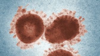 Kasus Aktif Virus Corona di Madura Berkurang Tujuh Orang