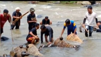 Seru dan Meriah, Festival 7 Sungai Subang Hadirkan Ragam Budaya dan Atraksi