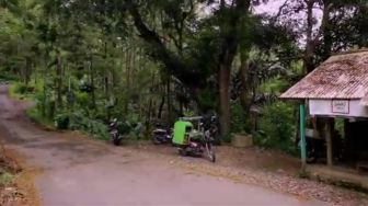 Unik Sebuah Warung Berdiri di Tengah Hutan, Suguhkan Fasilitas yang Bikin Betah