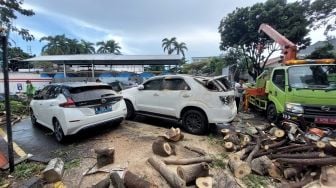 27 Pohon Tumbang Diterpa Angin Kencang di Jakarta Barat, Dua Mobil Rusak Parah