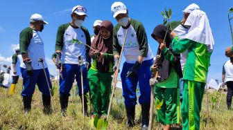 3 Tahun Tsunami Banten, Penanaman Mangrove Digalakan untuk Hadang Tsunami