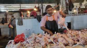 Tak Ada Penjualan dan Permintaan Berlebih untuk Komoditi Ayam Potong di Balikpapan