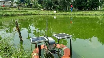 Eksistensi Kampung Patin Riau, Produksi Ikan Salai Capai 12 Ton/Hari