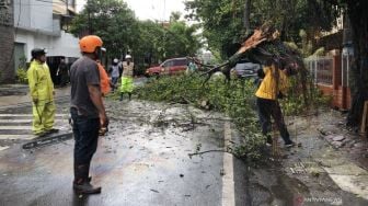 Malang Dilanda Hujan Deras Disertai Angin Kencang, Puluhan Rumah Rusak