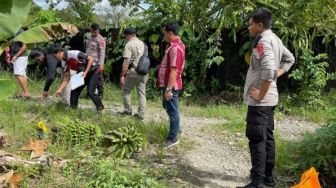 Panen Pisang dan Sayur di Kawasan Perkebunan, Pria Asal Jember Dibacok OTK